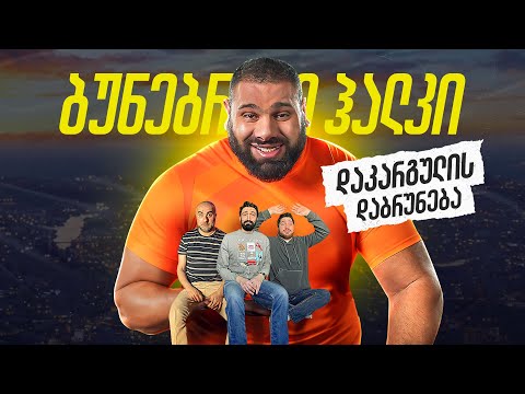 რისი ეშინია ჰალკს? ბუნებრივი ინტელექტი | ლევან საგინაშვილი