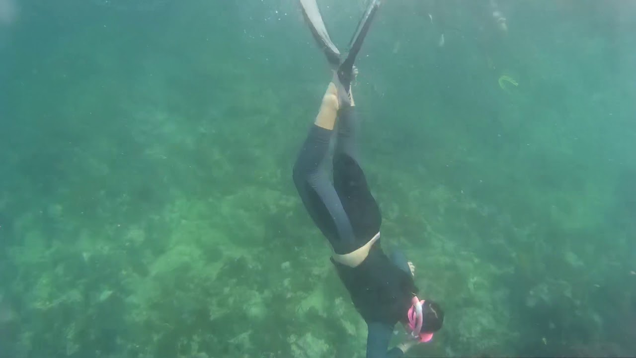 Free diving YouTube