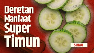 Manfaat Baik Timun yang Penting bagi Kesehatan Tubuh | SINAU