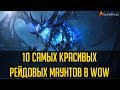 10 САМЫХ КРАСИВЫХ РЕЙДОВЫХ МАУНТОВ В WORLD OF WARCRAFT