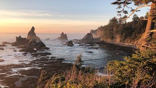 Dont miss this! Culinary Backpacking Trip in the Olympic National Park