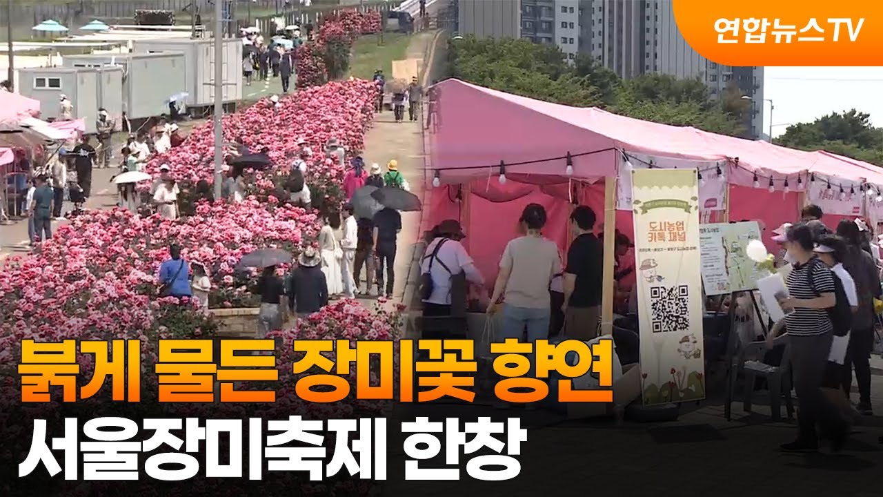 이미지 미리보기