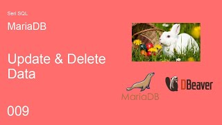 Database SQL MariaDB - Update & Delete Data