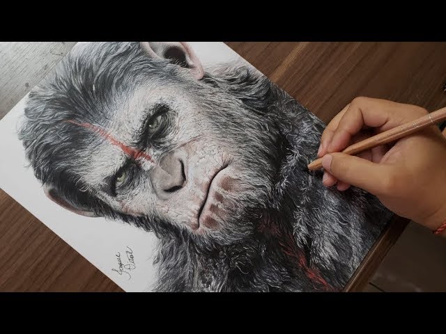 Desenhando Cesar - Planeta Dos Macacos (Carvão) 