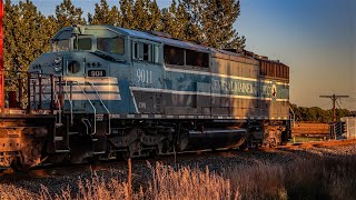 CP 7047, CP 6017, CMQ 9011 at Utopia, ON