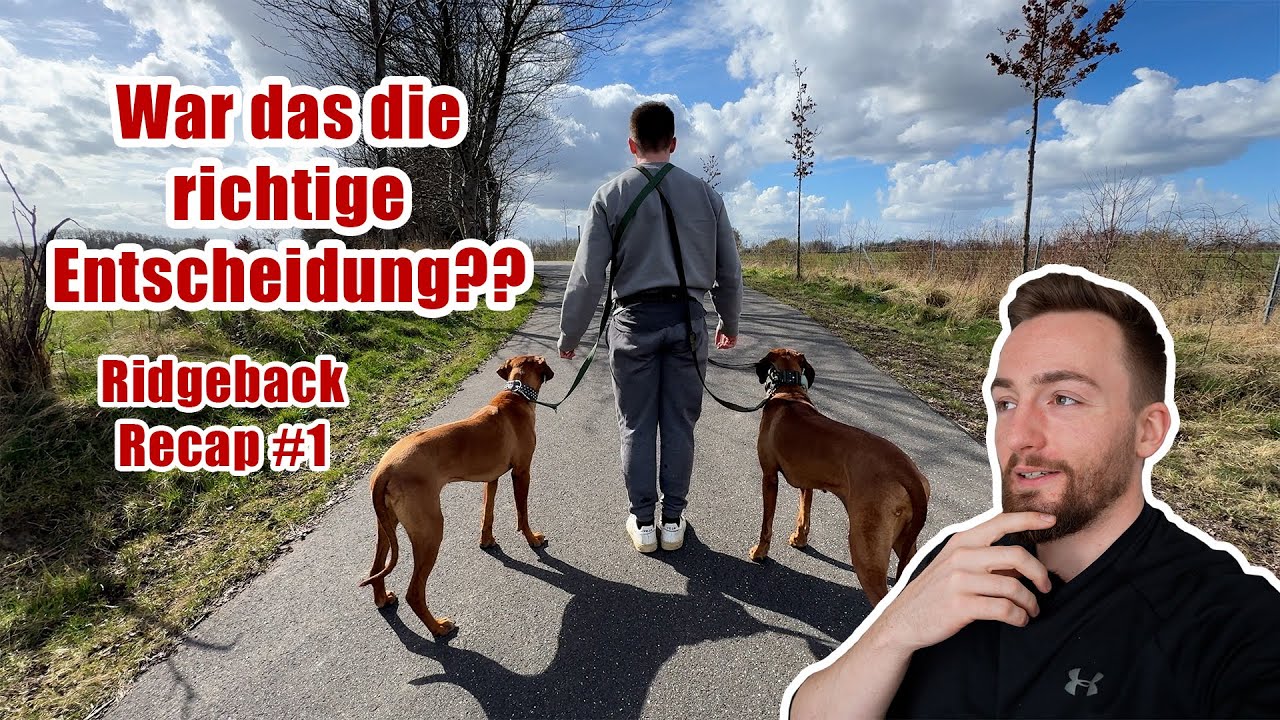 Spontane Mehrhundehaltung? Das hätte ich gerne vor meinem zweiten Hund gewusst! I Ridgeback Recap #1
