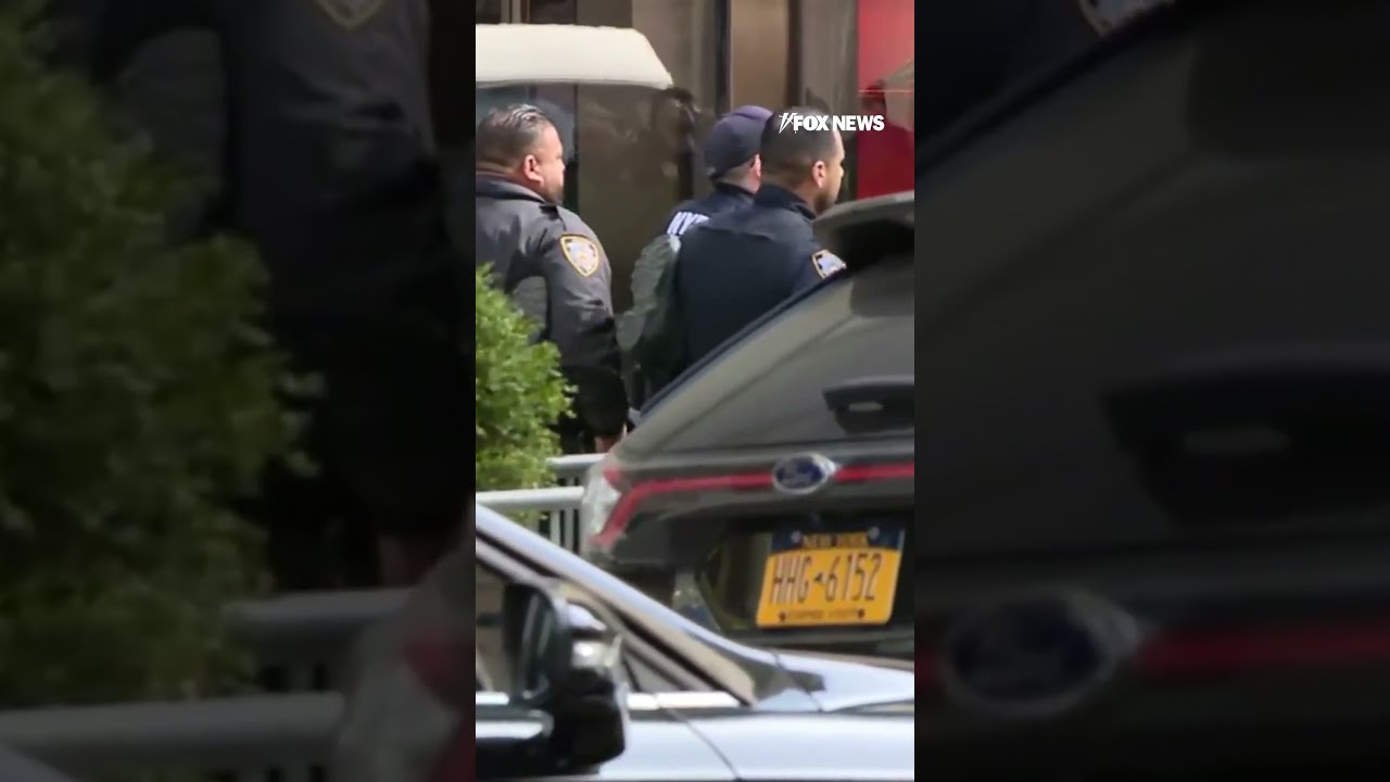 Chaos Erupts In Trump Tower As Agitators Carried Out By NYPD
