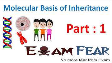 Biology Molecular Basis of Inheritance part 1 (Introduction, DNA, RNA) class 12 XII