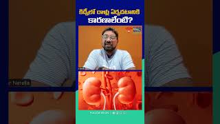 Early Signs Of Kidney Stones | Symptoms And Causes Of Kidney Stones #shorts