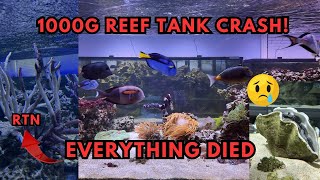 Reef Tank Disaster… We Lost EVERYTHING!