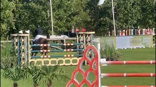 Sx - Sniper Des Lilas Blancs - 6Yo - Brussels Stephex Masters