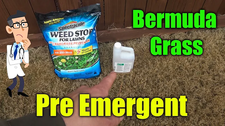 Pre Emergent cho Bermuda Grass - Kết quả tuyệt vời với cỏ dại mới nảy mầm