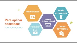 Qué Es Snap Y Cómo Puedo Aplicar?