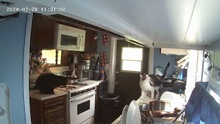 MESSY INTRUDER CAUGHT ON CCTV | SECURITYCAM STORY #9
