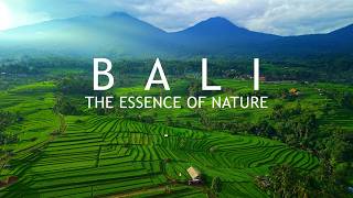 BALI - The Essence of Nature | Cinematic