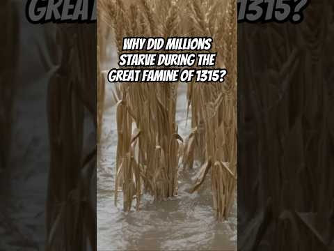The Medieval Economic CRASH That Starved MILLIONS #history #crisismanagement