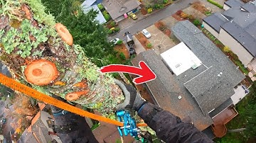 Massive Tree removal Hanging Directly Over a House!