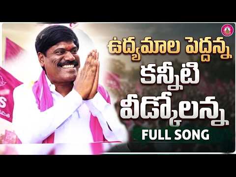 ఉద్యమాల పెద్దన్న కన్నీటి వీడ్కోలన్న PeddiSudarshanReddy Song || VENNELA CREATIONS Narsampetpedhi MLA