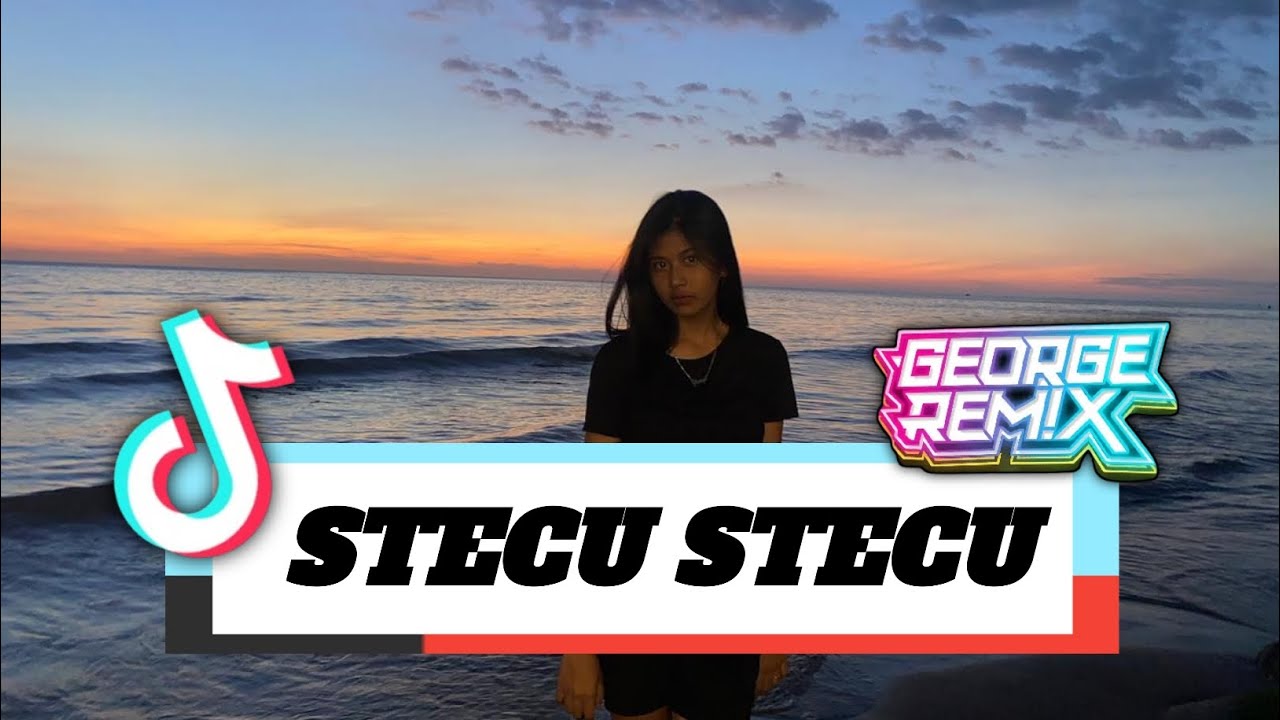 DJ STECU STECU FYP 2025 !!!! ( GEORGE REMIX )