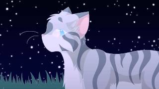 Graystripe and Silverstream   I will be there MAP part 20