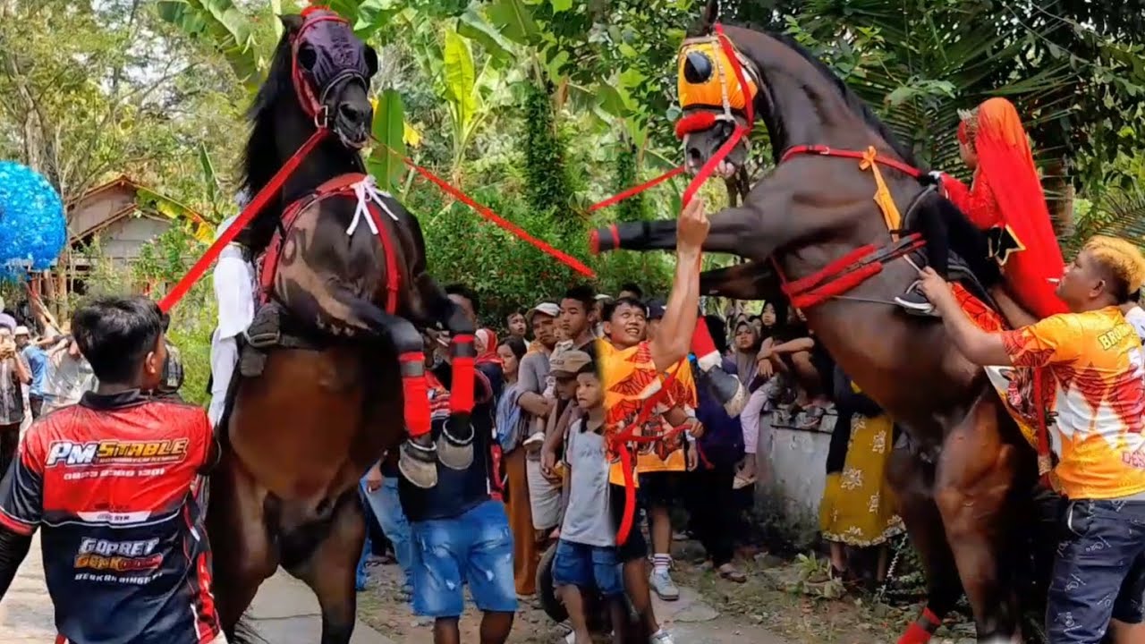 PART 3 ARAK ARAKAN KUDA JINGKRAK DESA SAMBENG
