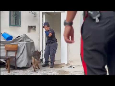 Blitz nelle roccaforti del clan Mazzarella, maxi sequestro di droga