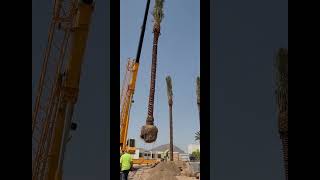 Construction Update: Ritz-Carlton Paradise Valley Luxury Estate Homes