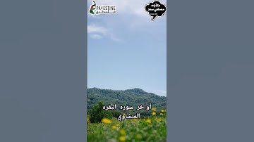 أواخر سوره البقره بصوت الشيخ محمد صديق المنشاوي #قرآن #اكسبلور #quran #trending #explore #foryou