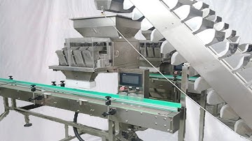 linear weigher scales 4 heads filling machine granules seeds scale filler حبيبات ملء آلة