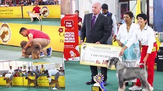Another best dog show in Sri Lanka | CKC | Full Video | Pet Talk