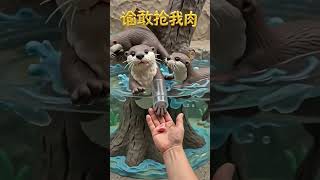Baby Otter's Cutest Feeding Reaction Ever #funny