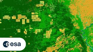 Goal 1: Protect our Planet and Climate – Exhibition version