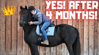 The first time I ride QueenUniek again after being in a coma | Friesian Horses