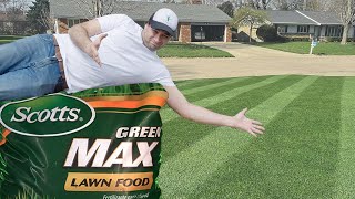 Scotts Green Max Lawn Food Fertilizer Review
