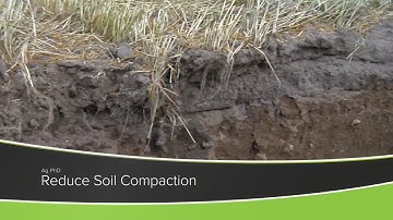 Reduce Soil Compaction (From Ag PhD Show #1176 - Air Date 10-18-20)