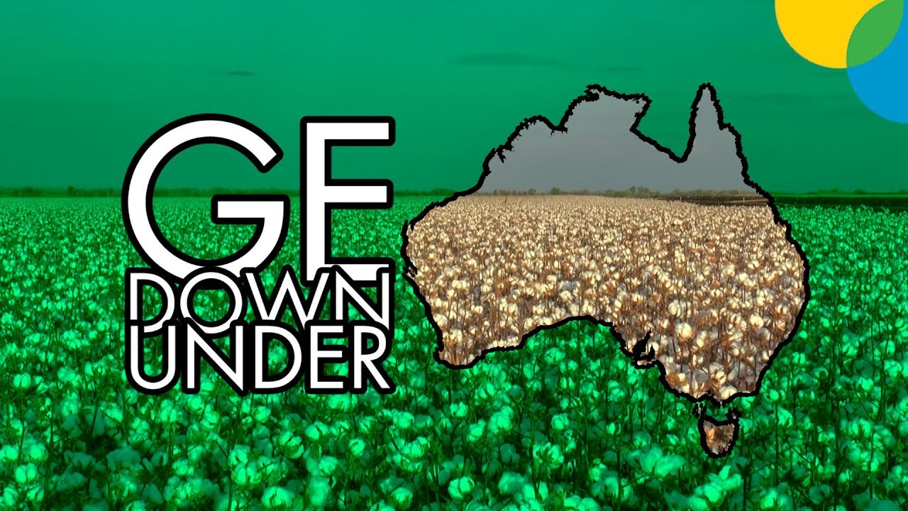 GENETIC ENGINEERING DOWN UNDER gmod textures