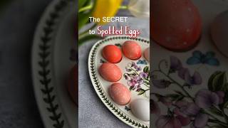 🛑 DON’T wipe the oil! The secret to the Viral Spotted Easter Eggs! 🥚 Wealth