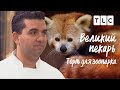 Торт для зоопарка | Великий пекарь | TLC