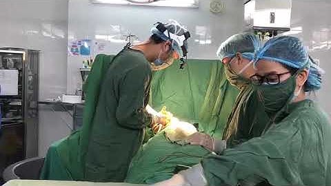 Kết Quả Nâng Ngực Đặt Túi Mentor Size 275 Đường Chân Ngực