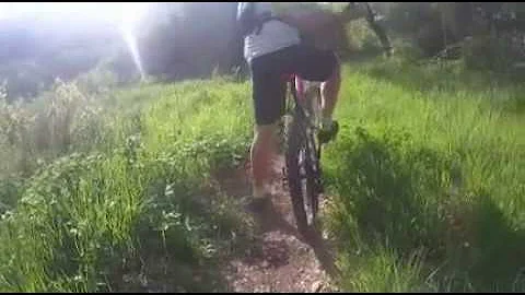 Come si chiama la casa delle api?