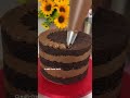 chocolate cake recipe / cake recipe / #cake #cakedecorating #cakedesign #shortsfeed #shortvideo
