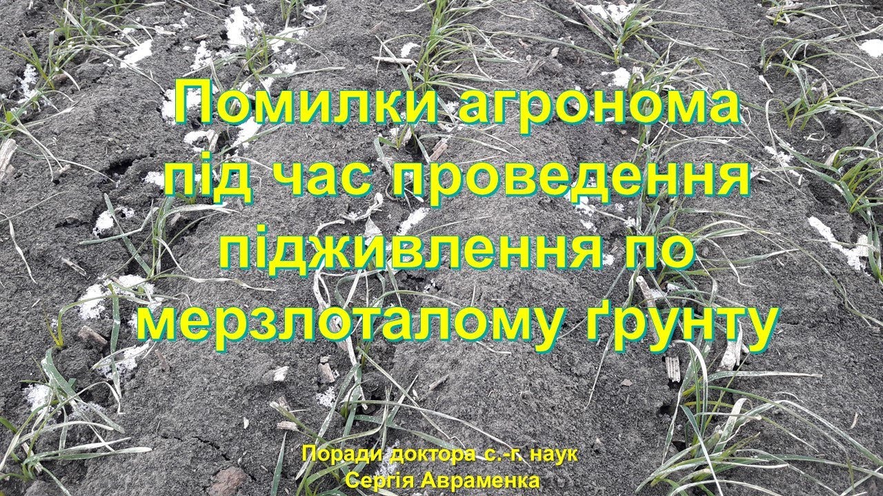 Ошибки агронома во время проведения подкормок по мерзлоталой почве
