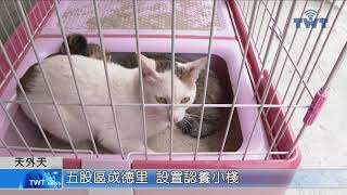 天外天新聞1110620 03五股區成德里 設置認養小棧