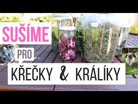 TIPY CO SUŠIT pro KŘEČKY A KRÁLÍKY | listy, natě, bylinky, květiny