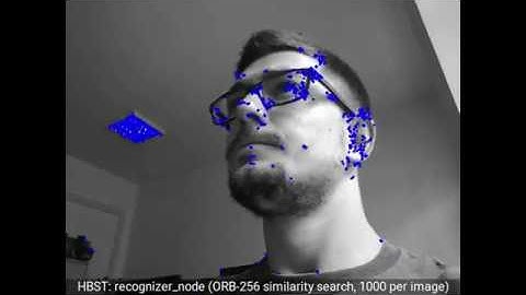 HBST: Real-time (30 Hz) ORB-256 descriptor similarity search