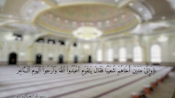 تلاوة جميلة للشيخ عبدالرحمن برناوي | صلاة العشاء