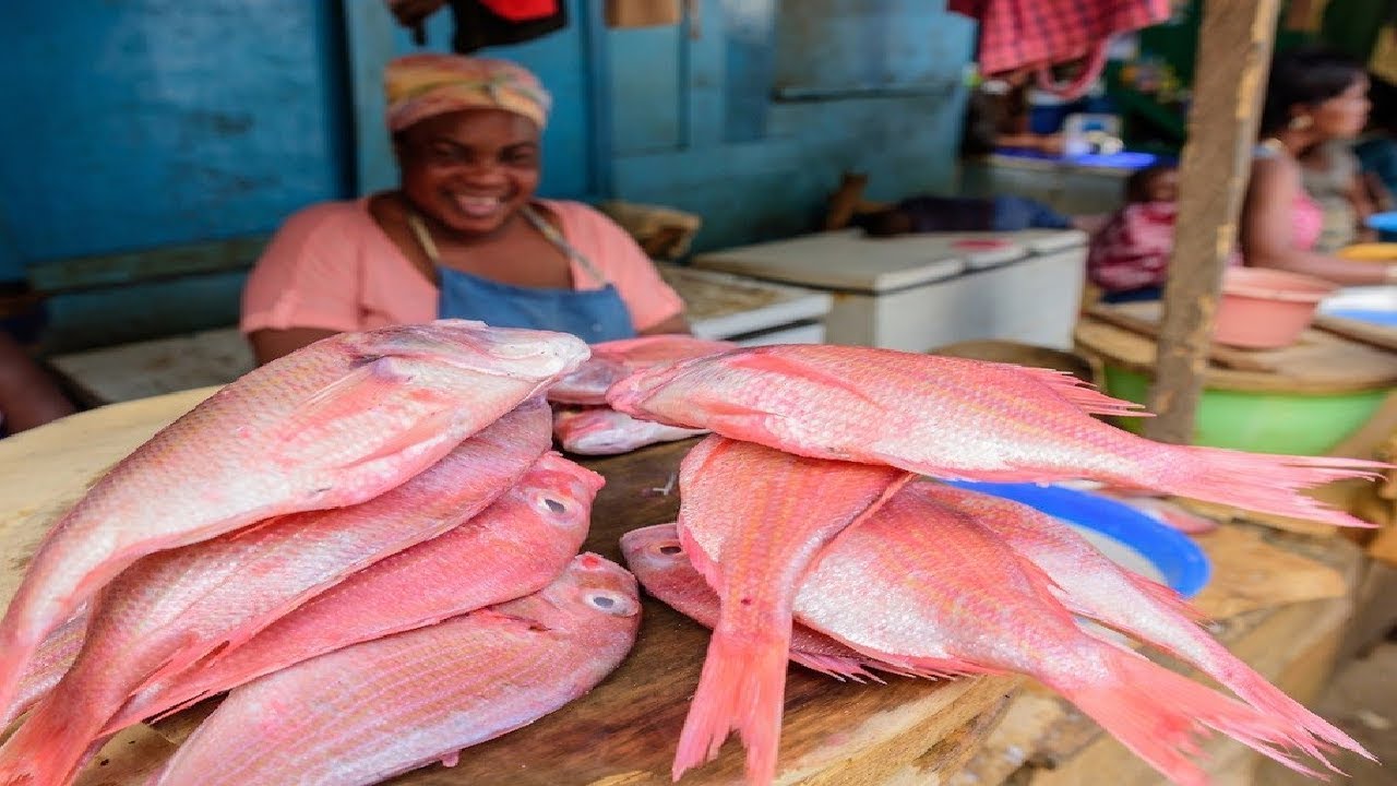 How to start fish farming in Nigeria