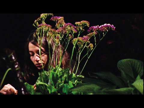 TROPICAL FRACTALS trailer | BFI London Film Festival 2026 – 7-18 October