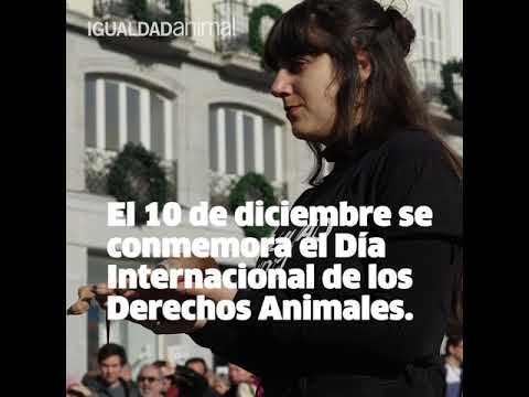 Día internacional de los Derechos Animales