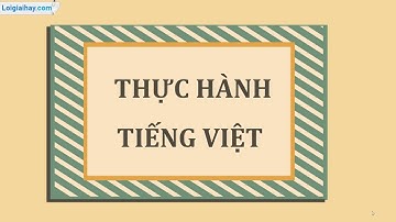 Soạn bài Thực hành tiếng Việt bài 4 SGK Ngữ Văn 7 tập 1 Cánh diều